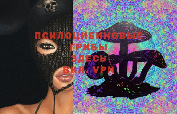 герыч Алексин