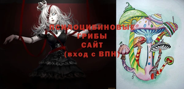 PSILOCYBIN Алзамай