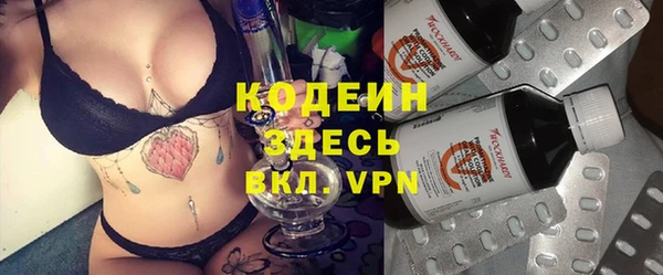 PSILOCYBIN Алзамай
