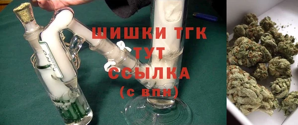 PSILOCYBIN Алзамай