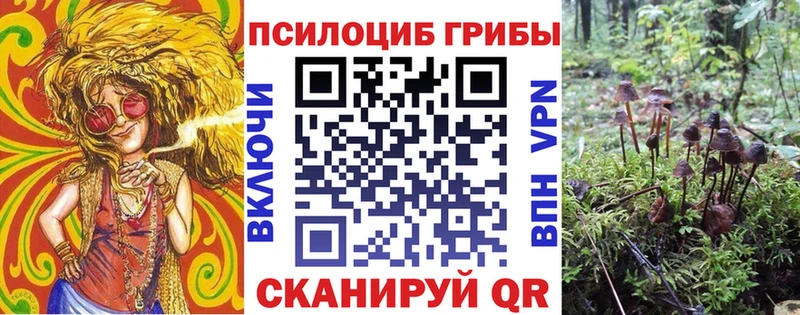 ОМГ ОМГ как войти  Волгоград  Галлюциногенные грибы Cubensis 
