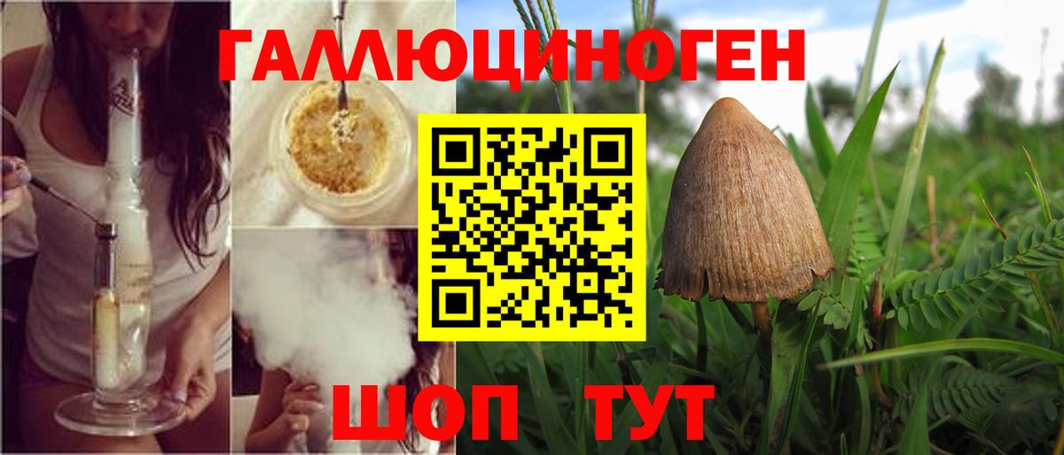 Волгоград  Псилоцибиновые грибы Cubensis  Вход с VPN 