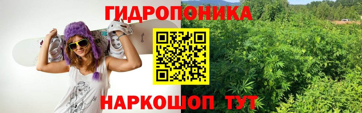 Конопля Bruce Banner Волгоград